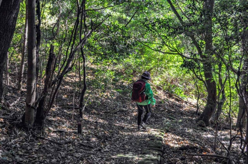 🎨 기리시마 민예촌 (키리시마민게이무라) 이미지 9